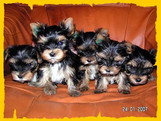 PICT0034V07.jpg